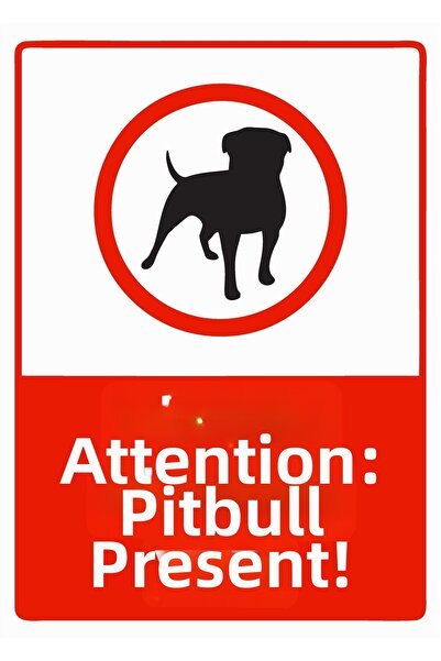 ZiPrinter هناك كلب بيتبول! لافتة تحذير من مادة PVC مقاس A5 15x21 سم