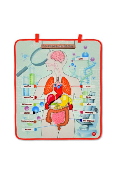 Tox لوحة حائط من اللباد بنظام الأجهزة الداخلية، لعبة تعليمية