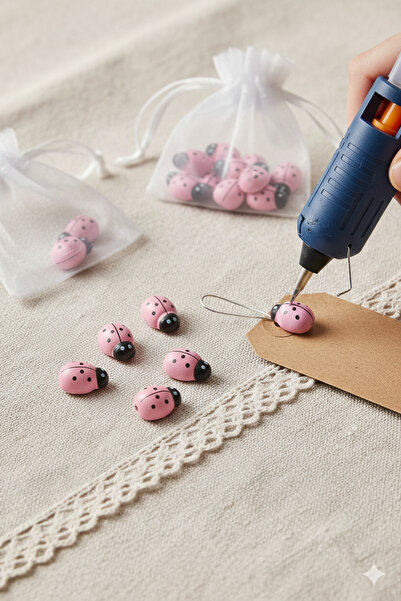 Deniz Party Store Yapışkansız Uğur Böceği 1,3 Cm 100 Adet Pembe