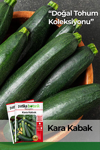 Patika Botanik 25 Adet Kolsuz Kara Kabak Tohumu