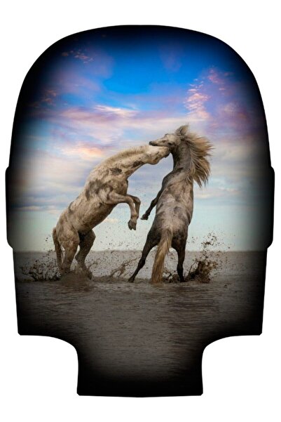 Basarideri Bd Suitcase Valiz Kılıfı 1154-b15