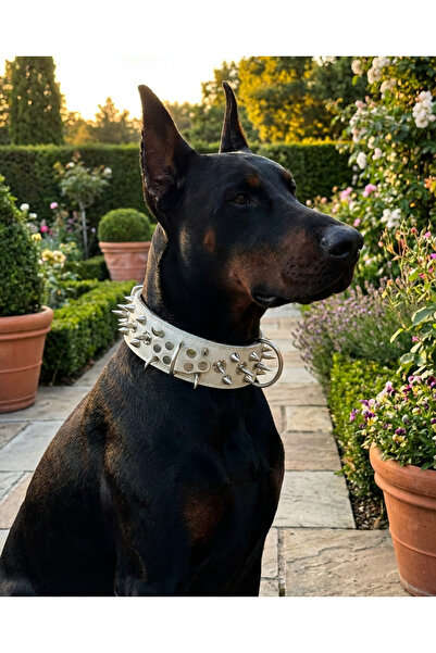 kozaklı طوق حماية للكلاب الفاخرة