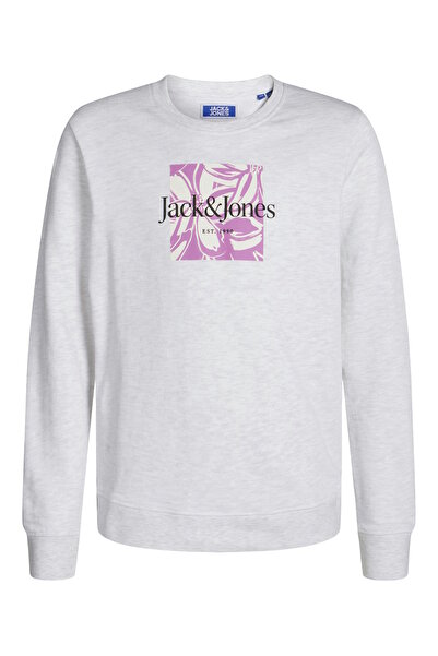Jack & Jones Junior Sweatshirt Lafayette Pullover ohne Kapuze