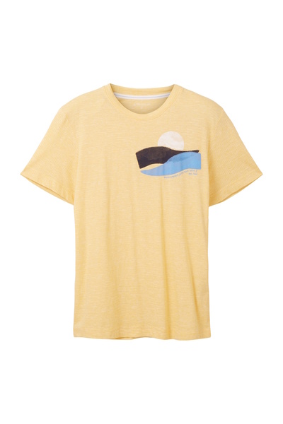 Tom Tailor T-Shirt gestreiftes Kurzarmshirt mit Rundhalsausschnitt und Foto-Print