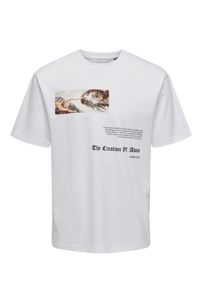 Only & Sons T-Shirt Apoh Life Kurzarmshirt mit Frontprint