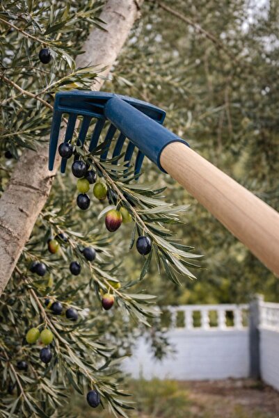Genel Markalar Esnek Kırılmaz Zeytin Toplama Tırmığı – 3’lü Paket (Sap Hariç)