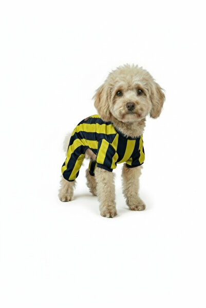 Yumuşak Tüylü Patiler قميص مشجعي القطط والكلاب باللون الأصفر والأزرق الداكن -...