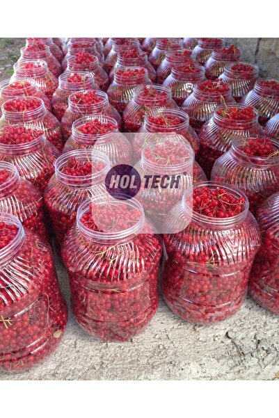 MEYVESELİ Gilaburu Meyvesi 5 Lıtre 2,5 kg HOLTECH