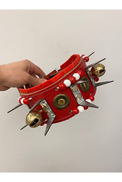 Sürmeli Tasma Yavru Kangal Çoban Köpek Tasması Hakiki Deri 2 Zilli 1. Sınıf K...