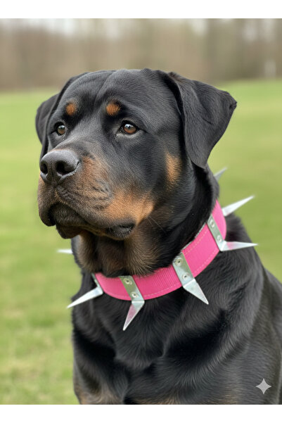 kozaklı KANĞAL KÖPEK KORUMA TASMASI