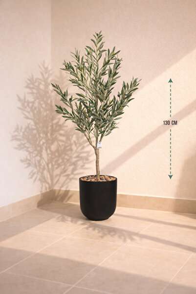 CENTRHOME Olive tree, 130 cm tall