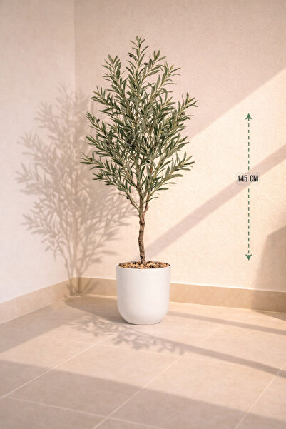 CENTRHOME شجرة زيتون بطول 145 سم