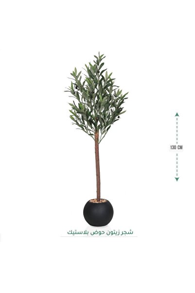 CENTRHOME شجرة زيتون طول 130 سم مركن مكور