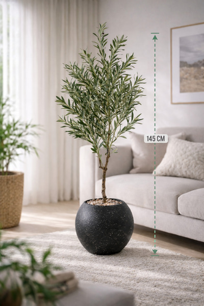 CENTRHOME شجرة زيتون بطول 145 بمركن مكور