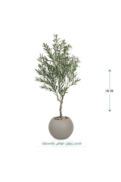 CENTRHOME Olive tree, 145 cm tall, in a round pot