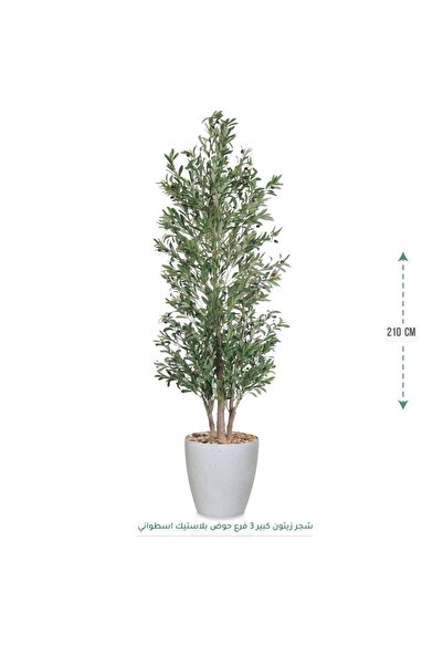 CENTRHOME Olive tree, 210 cm tall