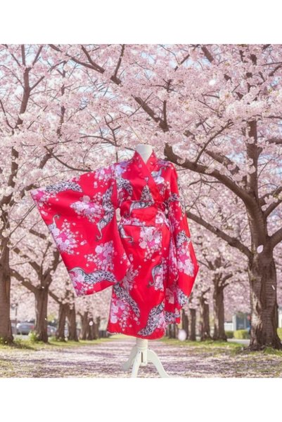 Beşik Kostüm Japon Kız Kimono Kostümü