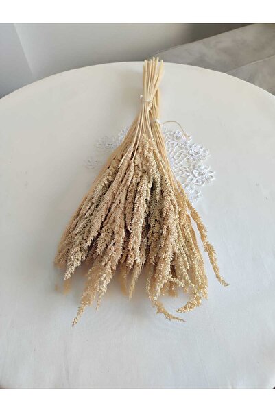 Birlik BULGUROTU Kuru Çiçek Bej