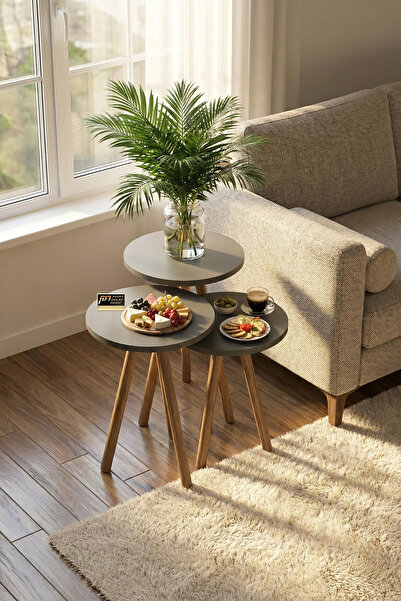 PDMPOİNT DOLAP MARKET Zigon Sehpa 3'lü - Antrasit