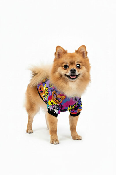 Yumuşak Tüylü Patiler Cat-Dog Teddy Bear Patterned Sweatshirt Outfit - Small ...