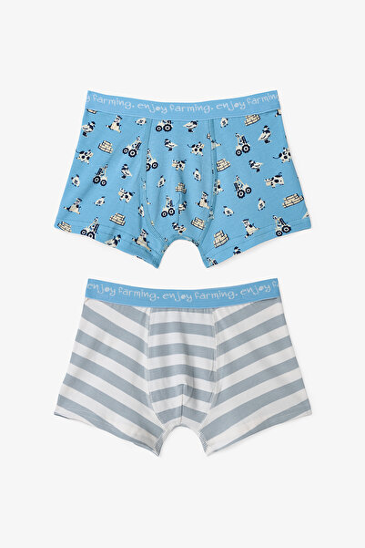 Penti Erkek Çocuk Moo Farm İnek Desenli Pamuklu 2'li Boxer