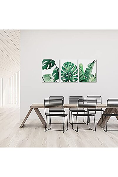 ALAYRA International مطبوعات نباتات ألايرا الخضراء - لوحة نباتية - صور نبات م...