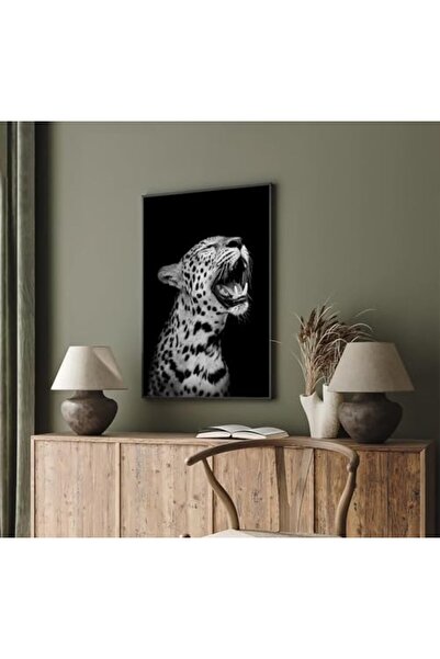 ALAYRA International ملصق حيوانات مضحك من ALAYRA، ديكور عتيق باللونين الأسود ...