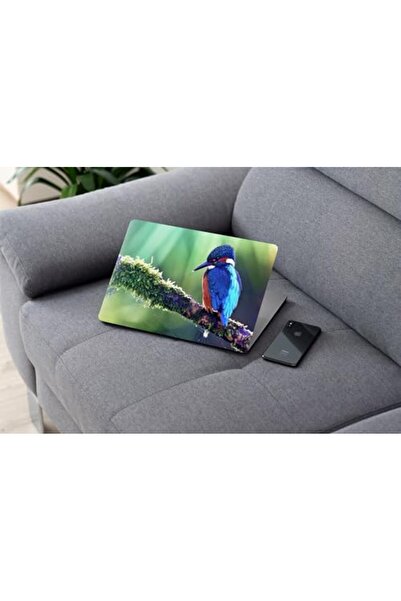 ALAYRA International ملصق حماية للكمبيوتر المحمول من ALAYRA بتصميم طائر الرفر...