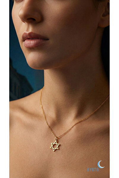 Ayata Design Ayata Davut Yıldızı Gümüş Kolye Gold Rose Silver Star of David N...