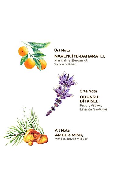 Eyüp Sabri Tuncer Sport - Erkek Roll On Deodorant 75 ml