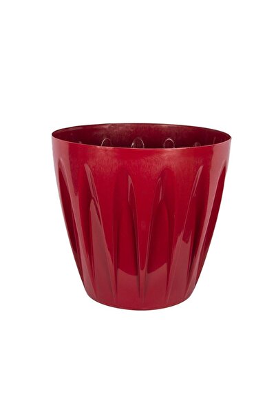 SERİNOVA Papatya Saksı 46 Lt – Ekstra Büyük Boy Bahçe ve Teras Tipi Çiçek Sak...