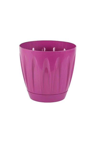 SERİNOVA Papatya Tabaklı Saksı 3 Lt – Dekoratif Tabaklı No 3 Papatya Desenli ...