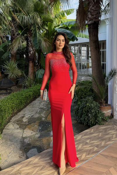 Sindimoda Asra Τούλι Λεπτομερές Λαμπερό Βραδινό Φόρεμα 583080