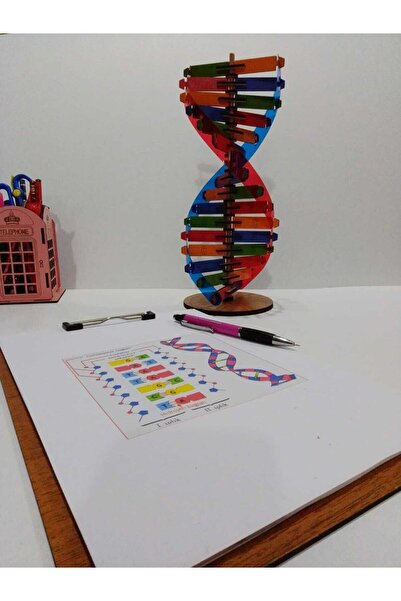 Trendy Toys Dna Modeli Eğitici Ahşap Renkli Dna Seti 30 cm