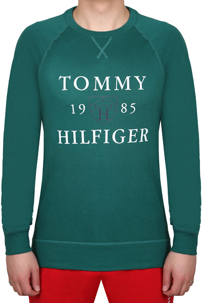 Tommy Hilfiger Men's Sweatshirt 09t4201-301