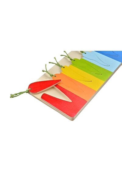 kayasan kids Ahşap Yap Boz Havuç Dilimi Montessori Ahşap Oyuncak Renkli Bul-t...