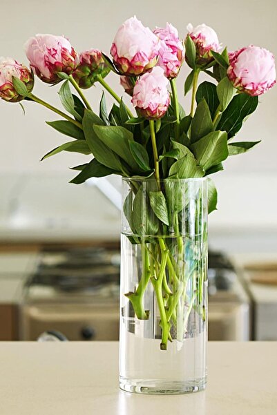 ZURİ DESİGN 3'LÜ Silindir Cam Vazo 20x9 Genişlik El imalatıdır