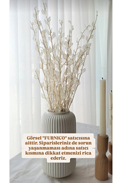 FURNİCO Sedef Çiçek, Şoklanmis Sedef , Kuru Çiçek