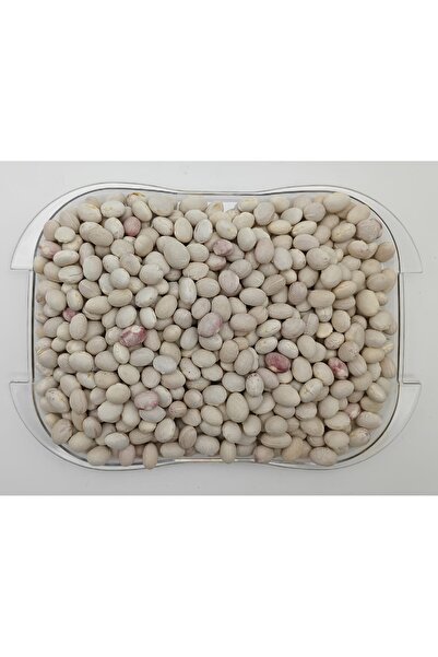 organikbakal bakma al Ispir Fasulyesi Yeni Sezon 500 Gr