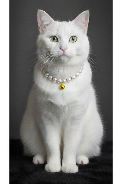 Vira Rise إكسسوار زينة لطوق القطط مصنوع من الخرز اللؤلؤي الأبيض مع جرس أصفر