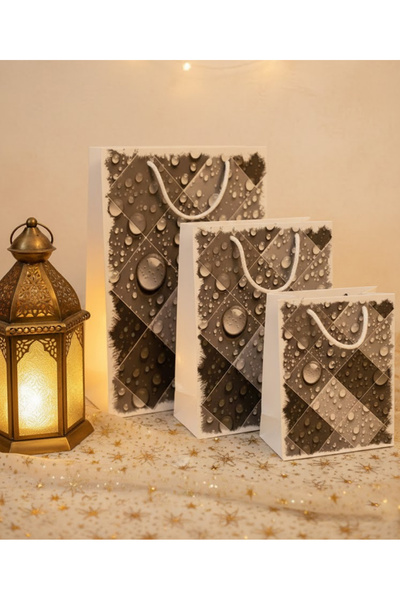 Generic أكياس هدايا ورقية مكونة من 3 قطع بأحجام مختلفة ومتعددة الألوان Ar-14275