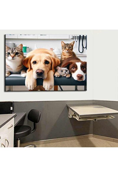 caddeko Pet Center Dekorasyon Veteriner Kliniği Tabloları vtr29