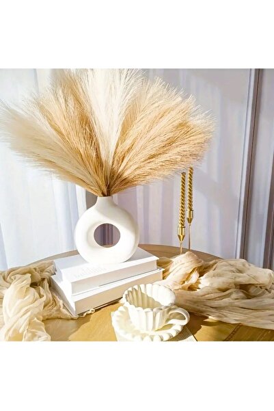 OKALİNA Demet Pampas dökülmeyen cins 3'lü 55 cm