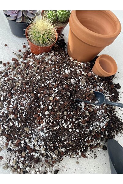 Elysian Kaktüs Sukulent Toprağı 10litre Ithal Torf 5 Karışımlı Teraryum Toprak Cocopeat Perlit Lav Deretaşı