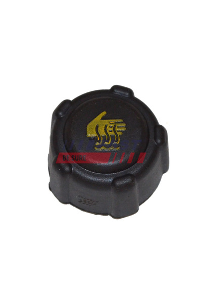 FAST Buson,vas Expansiune Renault Modus / Grand Modus (f/jp0_) 2004-2016 Benzina