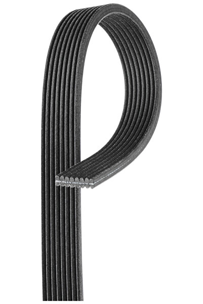 GATES Curea Transmisie Cu Caneluri Jaguar F-type Cupe (x152) 2013-2024 Benzina