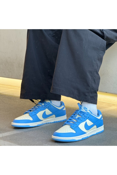 Nike Dunk Low Retro Erkek Sneaker Ayakkabı