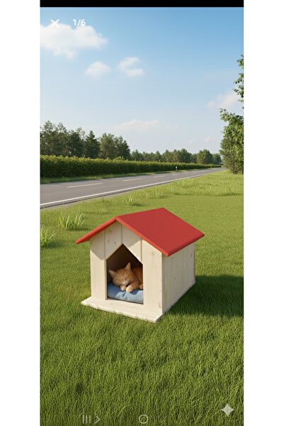 Dabanlıoğlu Mobilya KEDİ EVİ KULÜBESİ Yağmur Ve Soğuk Geçirmez Yalıtımlı 40x4...
