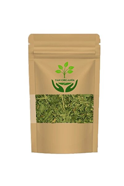 tan organik Tarhun Herb 40Gr