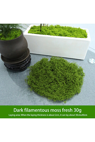 Choice قطعة واحدة من الطحالب الخضراء الاصطناعية الطازجة، يمكنك صنعها بنفسك، لتزيين الحدائق والمساحات الصغيرة، وتزيين حفلات الزفاف، وقطع الزينة المركزية.